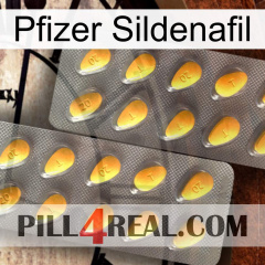 Pfizer Sildenafil cialis2